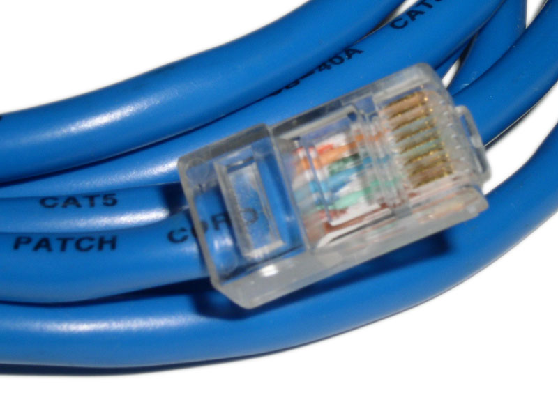 Blue Category 5 Ethernet cable with clear 8P8C RJ45 plugs on each end