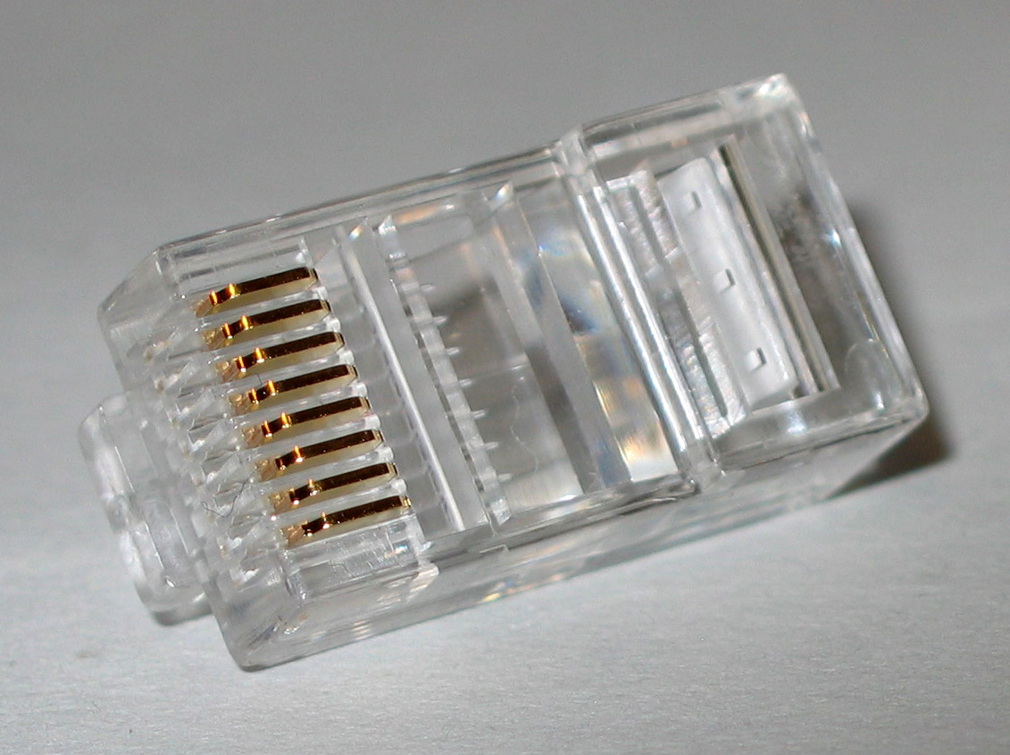 Close-up of a transparent uncrimped RJ45 plug showing the slots where wires slide in
